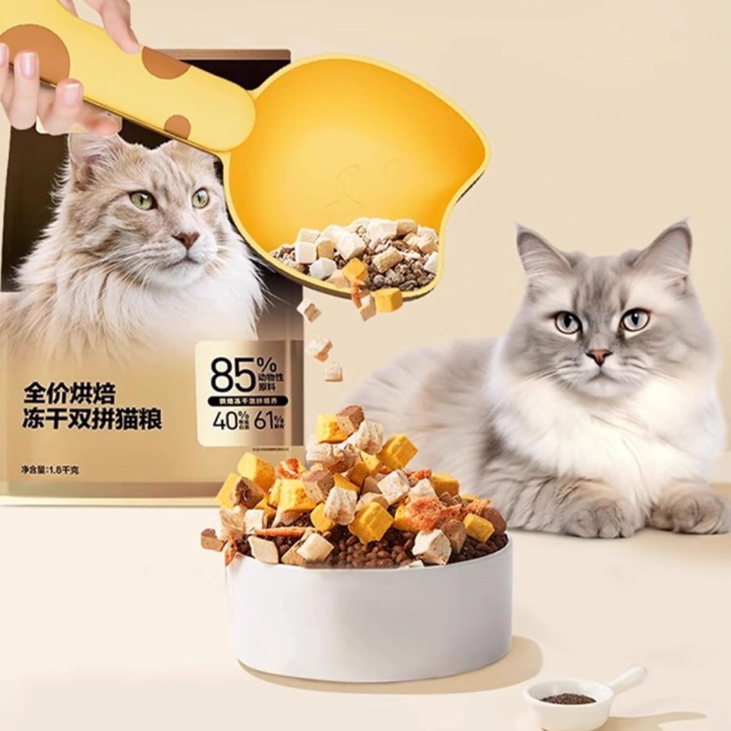 BOGO - Cat-Themed Food Scoop with Sealing Clip